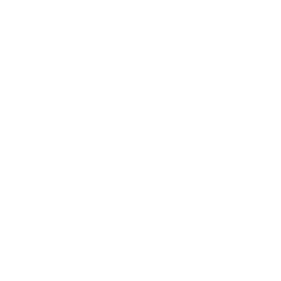 Enterprise shift diagram